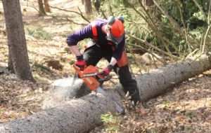 Chainsaw Tips for Beginners
