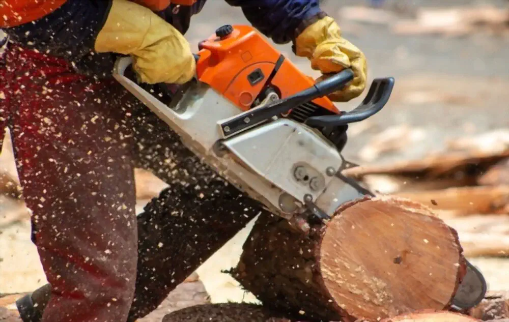 Chainsaw Kickback Explained Everything You Need to Know